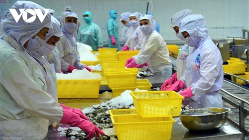 Vietnam emerges as largest supplier of seafood products to Australia